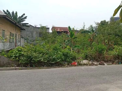 SILAHKAN DINEGO - DIJUAL TANAH PINGGIR JALAN UTAMA