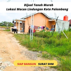 Tanah cocok untuk bangun lokasi macan lindungan