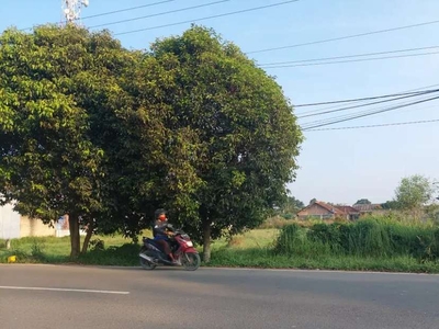 Tanah Luas Murah Pinggir Jalan Utama Kota Bandar Lampung