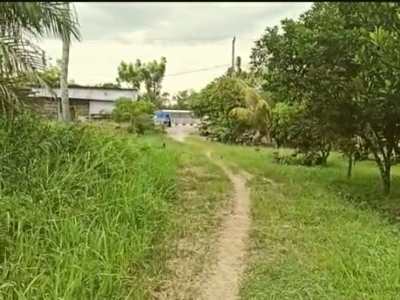 Tanah murah jalan rimbo panjang 50m dari jalan Raya, PKU Bangkinang