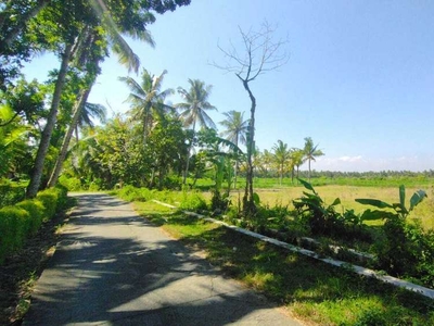 Tanah Murah Kulon Progo, Belakang Kelurahan Tawangsari