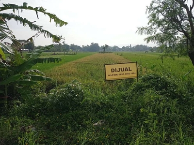 Tanah Sawah Super Murah di Tamanan, Banguntapan, Bantul