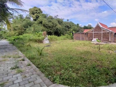 200 Meter Jl Palagan Jogja : Tanah di Jual Jogja, Legalitas SHM