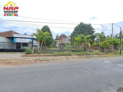 Dijual Rumah Sangat luas tepi Jl. Wonosobo Rejoagung - Banyuwangi