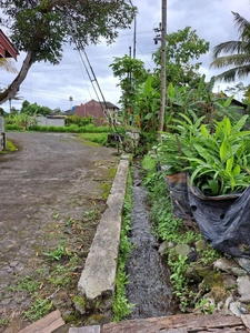 DIJUAL TANAH SAWAH MURAH MERIAH COCOK UNTUK HUNIAN ATAU INVES, JK11519