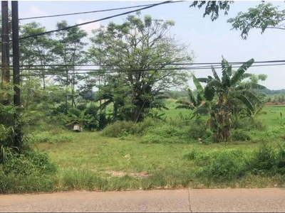 Jual Tanah Di Jalan Raya Diklat Pemda Curug - Tangerang, Banten