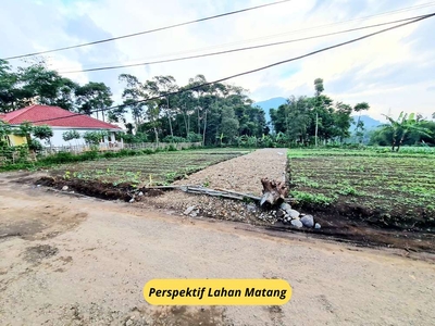 Kavling SHM 2 Jutaan, Bisa Di Angsur 12X. Dekat Pintu Tol Citeureup