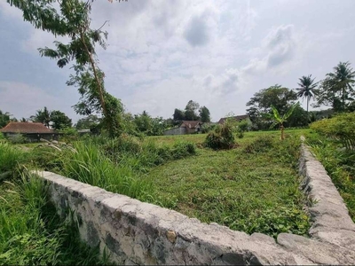 Sudah Pondasi Keliling, View Sawah di kaliurang Km 10