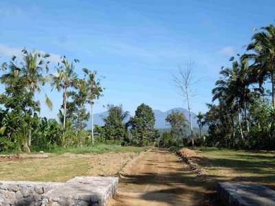 Tanah Murah Bagus Buahan Kaja Payangan Ubud Gianyar Bali