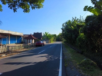 tanah murah datar view sawah akse s jalan propinsi di bali