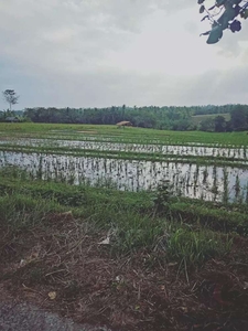 Tanah sawah view gunung dan pantai