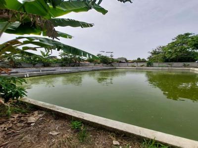 Tanah, kolam (balong) dan sawah. Luas 2900 di Rawamerta, Karawang