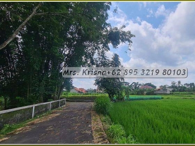 100jtan Tanah Jogja Pekarangan 5menit Exit Tol Kalasan