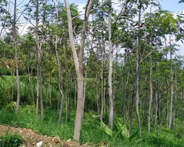 Dijual Murah Tanah Kavling Siap Bangun di Precet Dau, Batu Malang