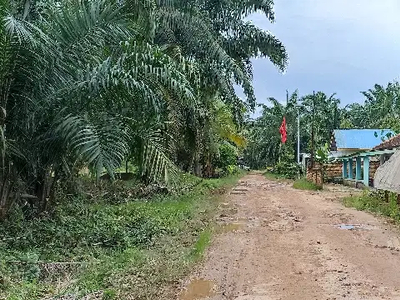 Dijual tanah beserta kebun sawit 1,4 Ha di Sukomoro Talang Kelapa