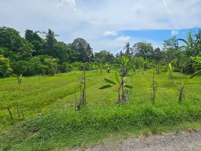 Dijual tanah super murah lokasi nyanyi Tabanan bali cocok buat villa