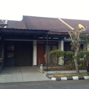 Disewakan Rumah Cherry Field