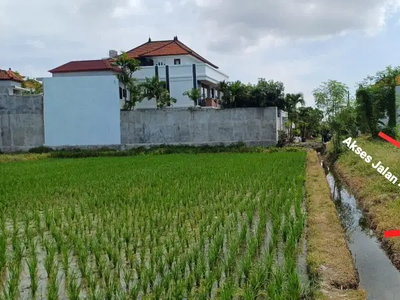 For Sale Exclusive Land Kawasan Permukiman Lokasi Tukad Badung