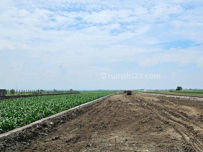 Jual Tanah Industri 50 Ha HGB di Cirebon