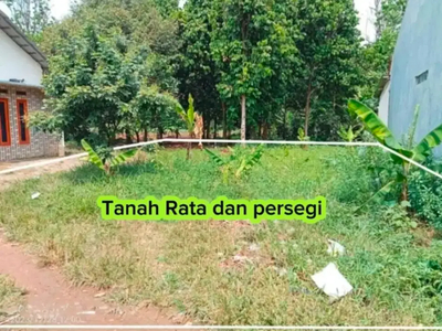 jual tanah kebun murah