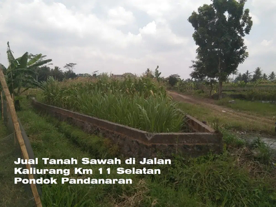 Jual Tanah Sawah di Jalan Kaliurang Km 11 Selatan Pondok Pandanaran