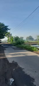 SAWAH produktif 0 jalan raya.