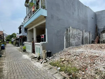 Tanah beruang banteng gajah kelinci Gayamsari Murah