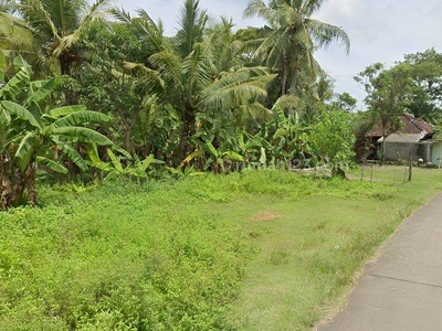 Tanah Dijual Kulonprogo, Barat Kantor Pa Wates