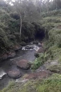 Tanah los sungai lodtunduh ubud