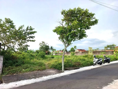 Tanah Pekarangan Murah dekat Jalan Damai