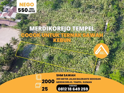 Tanah Tempel Merdikorejo Cocok Untuk Ternak Sawah Kebun Akses Mudah
