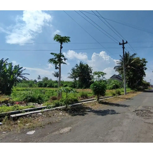 Tanah Yogyakarta Cebongan Dekat Kampus UTY Yogya SHM Pekarangan