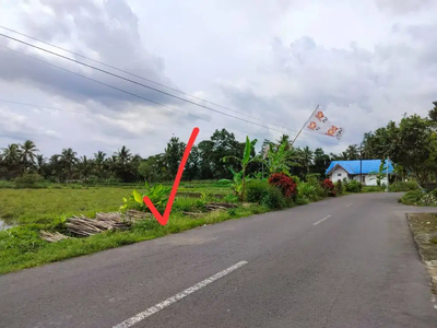 Tepi Jl. Raya Pendowoharjo, Tanah Murah Sleman; Dekat Taman Denggung
