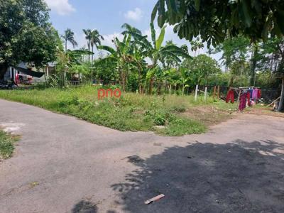 Jual tanah pekarangan dapat 2muka gagaksipat lt 300mtr hrg 500jt nego