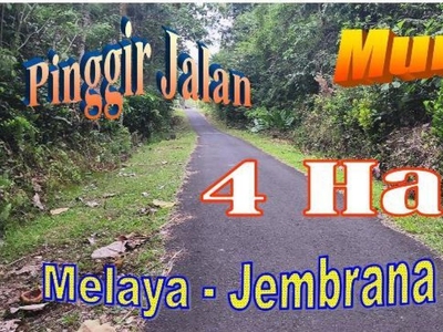 Dijual 25 Juta/ Are Lahan dgn Luas 4 Ha Dekat Pantai