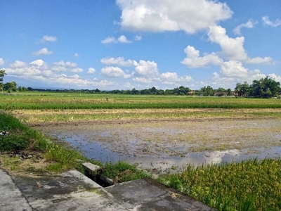 Dijual Cepat Tanah Industri Luas 5 Ha Lokasi Bowan,Klaten