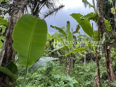 DIJUAL TANAH 16.39 ARE PEMANDANGAN HUTAN DI TEGALLALALANG (FHL474)