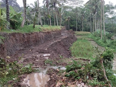 Dijual Tanah Bali Tegallalang Dekat Central Ubud