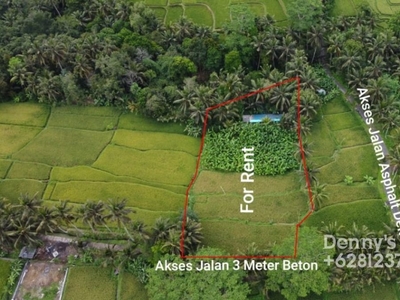 Disewakan Tanah MURAH Di Kelusa Payangan Sangat Cocok Peruntukan Villa