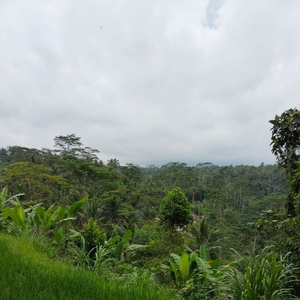 Lahan BUC View Kelas Dunia di area Resort di Ubud