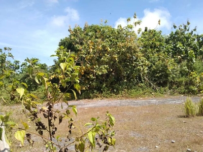 Land for lease suitable for Villa