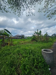 LAND SALE PREMIUM LOCATION MUNGGU