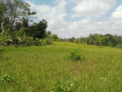 LEASEHOLD 30 TAHUN Tanah 247.6 Are Lodtunduh Ubud 5Jt Per Are Nego