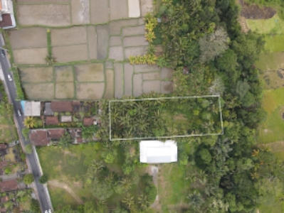 LEASEHOLD Stunning Land With Ricefield View And River View In Ubud