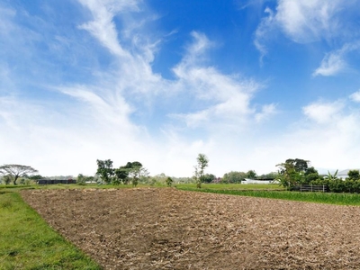 Tanah dijual Klaten dekat Candi Prambanan, SHM
