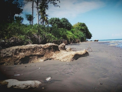 Tanah Los Pantai dekat Sumbersari Eco Villa Bali Barat