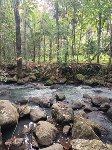 Tanah View Sungai Dekat Villa Bali Lush Dan Bali Green Retreat
