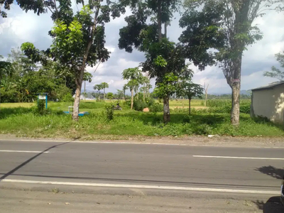 ajb sawah 795m pinggir jln jenggawah ambulu jember