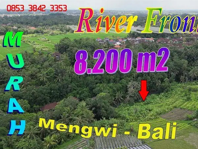 Cheaper than the Ubud area 8,200 sqm Land for sale in Badung Bali