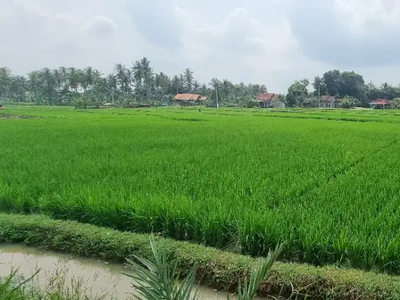 DI JUAL SAWAH produktif